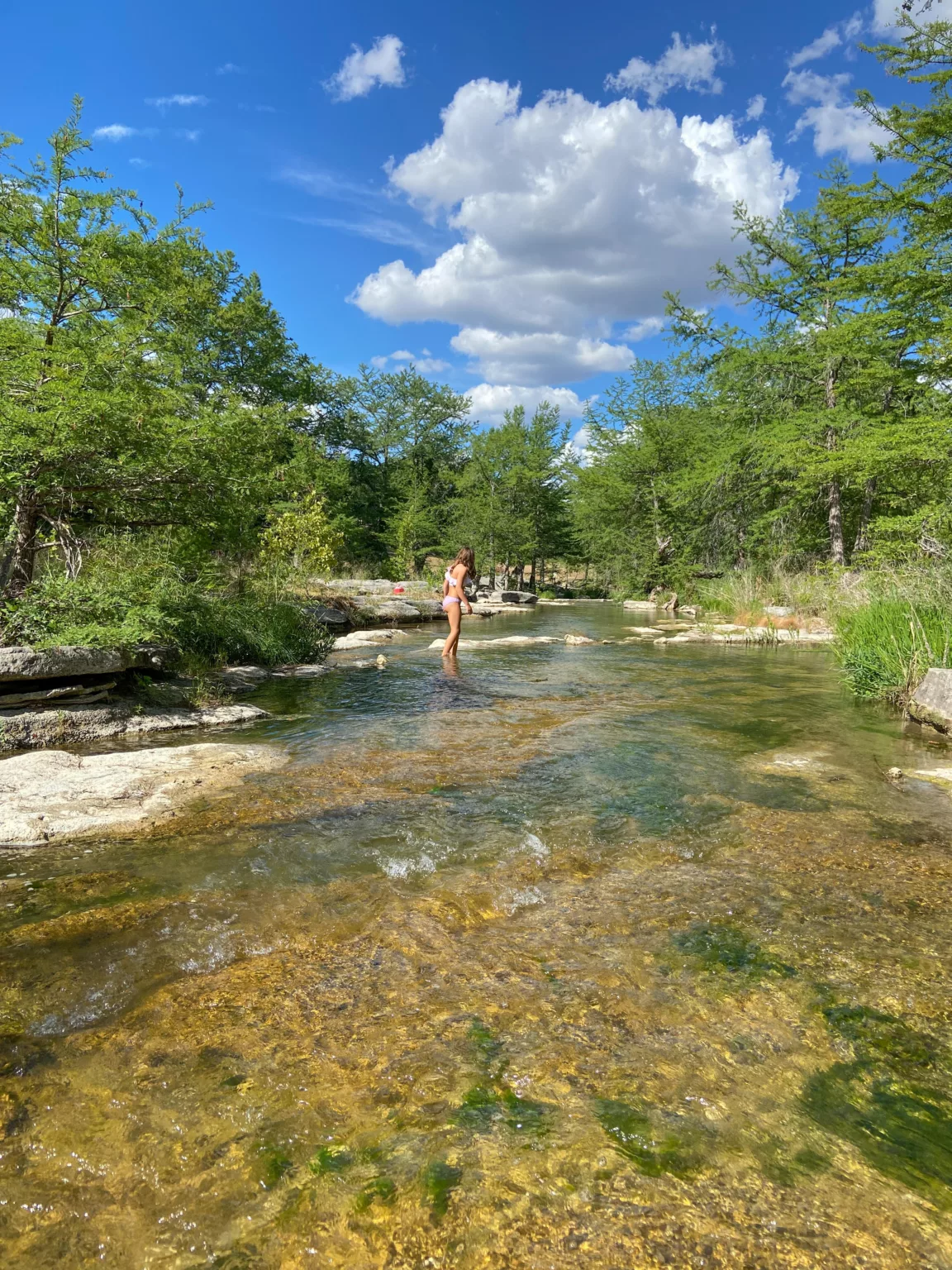 Person wading in a clear, shallow river lined with tall cypress trees