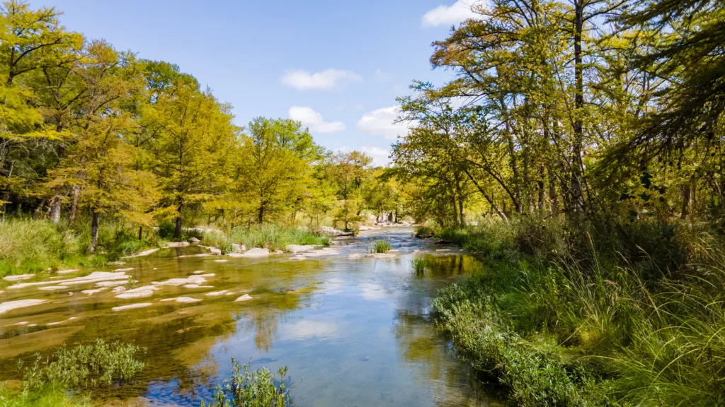 Shallow river with rock ledges and tall cypress trees on a sunny day